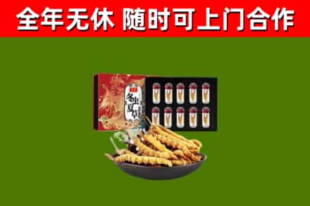 鹤山市回收冬虫夏草价格